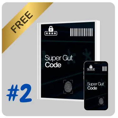 Bonus 2 - Focus Booster eBook